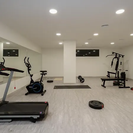 Modern With Large Terrace And Gym *